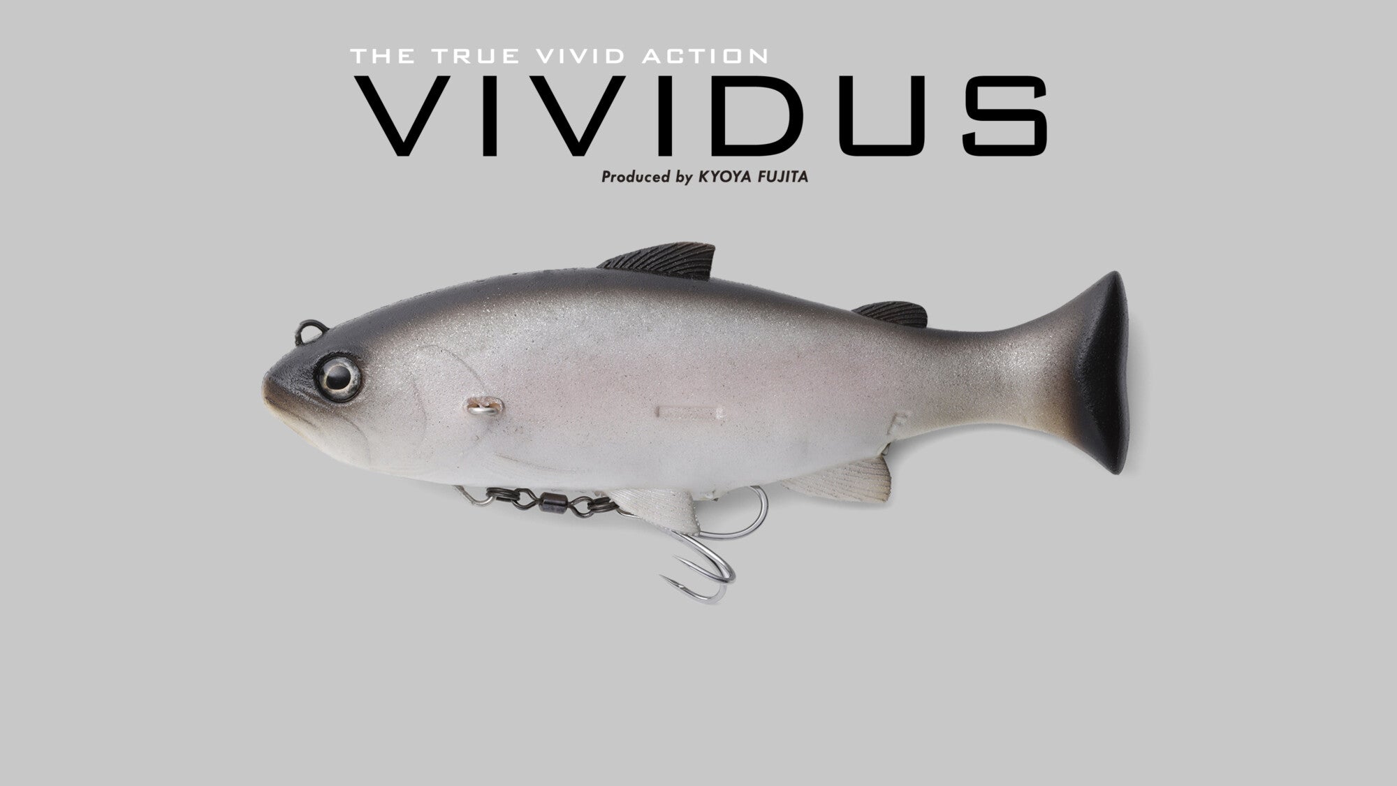 Jackall Vividus
