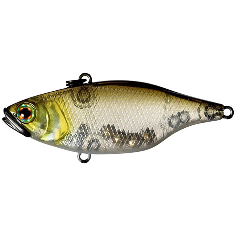 Jackall TN/60 Lipless Crankbaits - RT Scale Minnow-SS Shad-Ghost Minnow - Carolina Fishing Tackle LLC