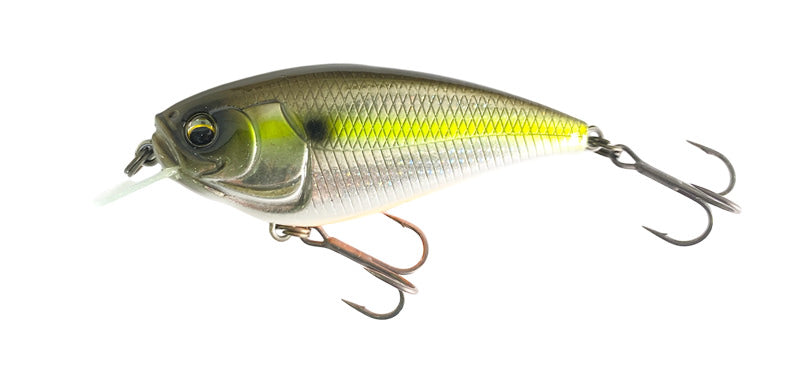 Imakatsu Gekiasa Flat