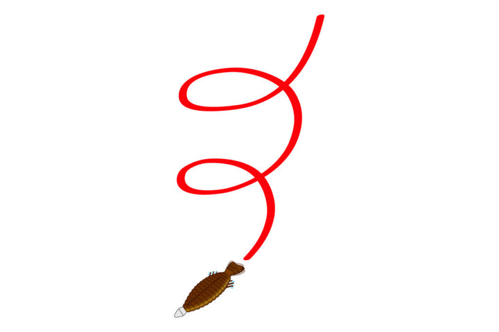 Deps Bull Flat - 