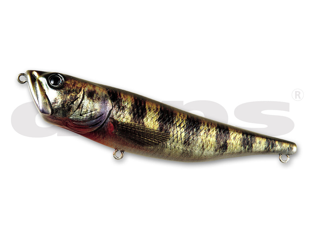 Deps Radscale