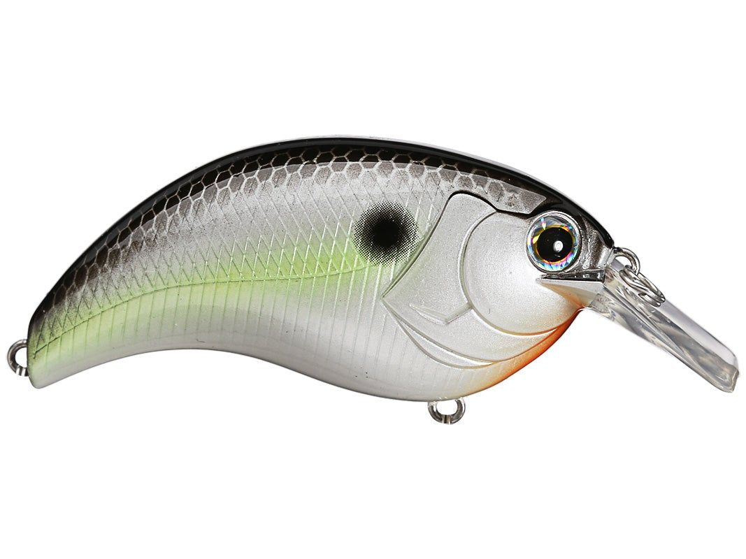 Deps EVOKE 1.2 Squarebill Crankbait - Premium Crankbaits from Deps - Shop now at Carolina Fishing Tackle LLC