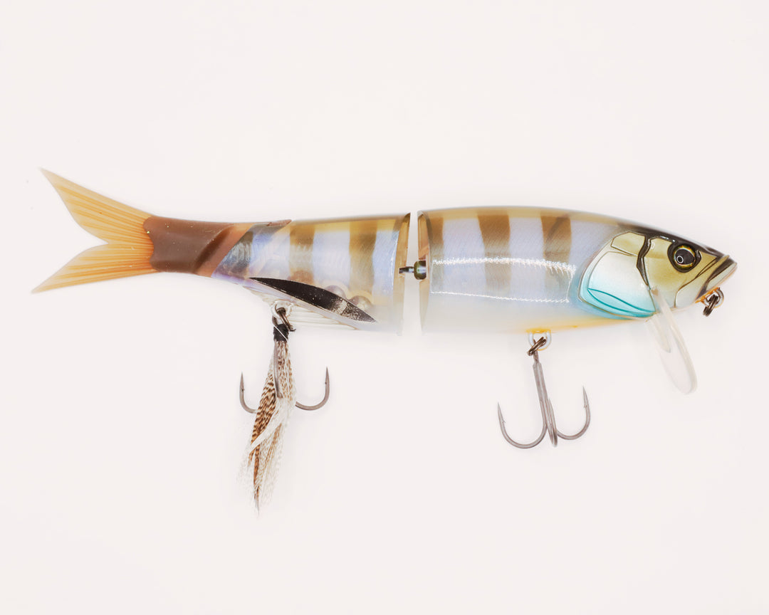 Jackall Lures Maekon 180SF Swimbait - Premium Jointed Swimbaits from Jackall - Shop now at Carolina Fishing Tackle LLC