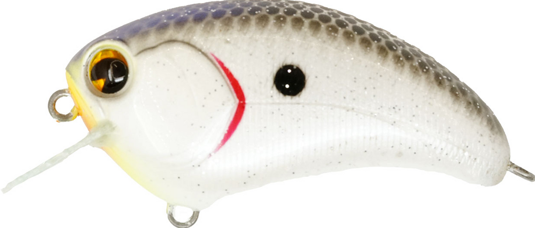 Ima Lures Square Bill Crankbait - 