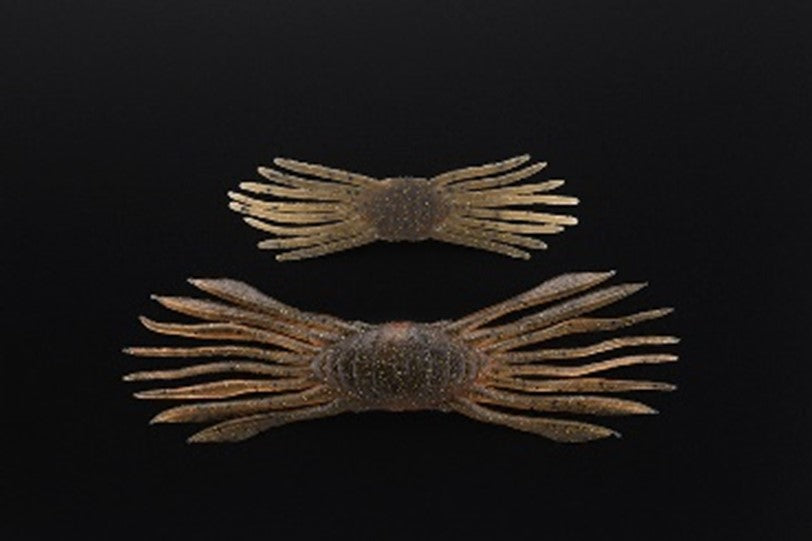Jackall Drift Crab 45 - Mimic Shrimp-Cinnamon Dappi Shrimp-Spawn Gill-Green Pumpkin Chart - Carolina Fishing Tackle LLC