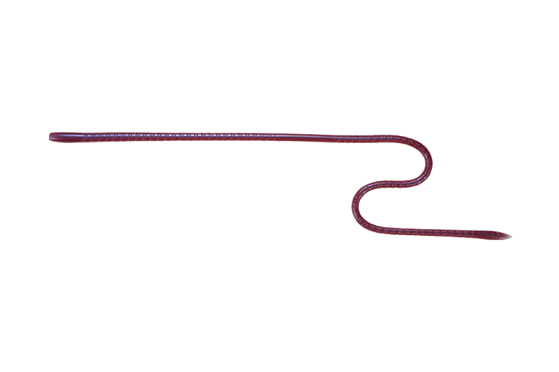 Jackall Lures Long "M"-16" Worm