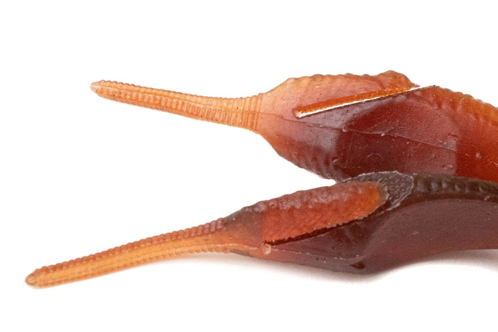 KAESU 3.6" Lop Hog 7pk Soft Creature Bait - 