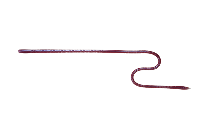 Jackall Lures Long "M"-16" Worm