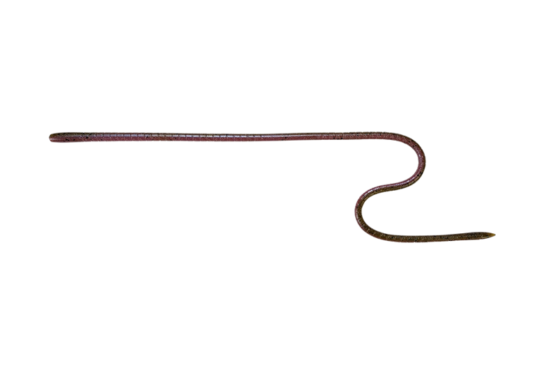 Jackall Lures Long "M"-16" Worm