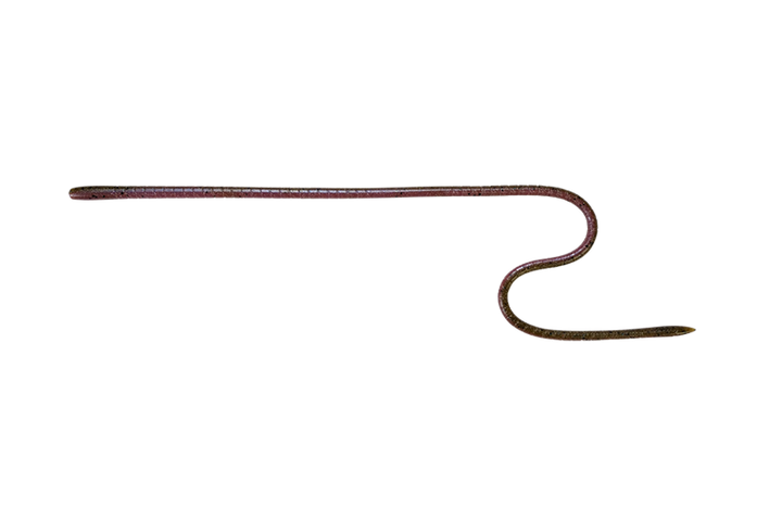 Jackall Lures Long "M"-16" Worm