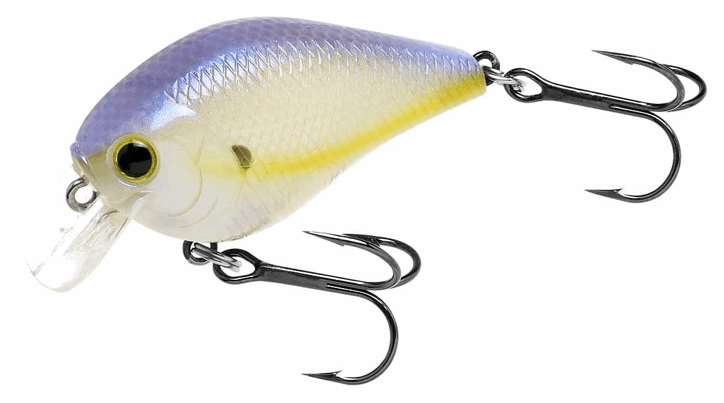 Lucky Craft Fat CB BDS 1 - Gizzard Shad-Chartreuse Shad - Carolina Fishing Tackle LLC