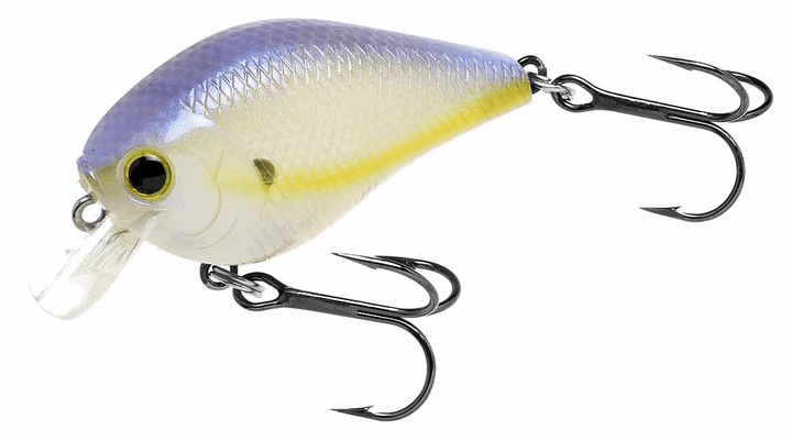 Lucky Craft Fat CB BDS 1 - Gizzard Shad-Chartreuse Shad - Carolina Fishing Tackle LLC