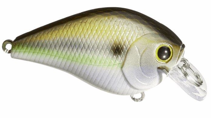 Lucky Craft Fat CB BDS 1 - Gizzard Shad-Chartreuse Shad - Carolina Fishing Tackle LLC