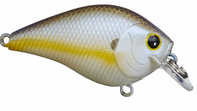 Lucky Craft Fat CB BDS 1 - Gizzard Shad-Chartreuse Shad - Carolina Fishing Tackle LLC