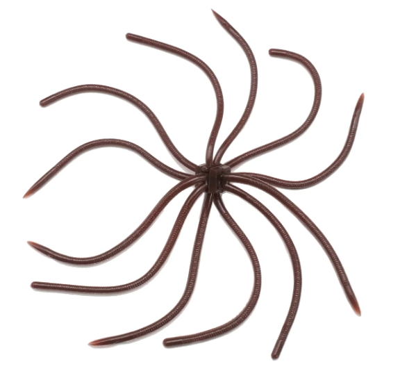 NEW Reins Umbrella Wire Creature Bait - 