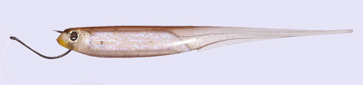 O.S.P Mylarminnow - MW-002 Wakasagi / 3.5 inch - 5pk-MW-005 Pink Lady / 3.5 inch - 5pk-MW-009 Oikawa / 3.5 inch - 5pk-MW-013 Honey Flash / 3.5 inch - 5pk-MW-014 Wakasagi Flash / 3.5 inch - 5pk-MW-025 Real Shirauo / 3.5 inch - 5pk-MW-028 Dying Wakasagi / 3.5 inch - 5pk - Carolina Fishing Tackle LLC