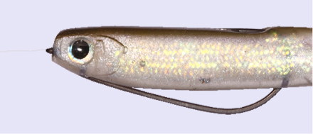 O.S.P Mylarminnow - MW-002 Wakasagi / 3.5 inch - 5pk-MW-005 Pink Lady / 3.5 inch - 5pk-MW-009 Oikawa / 3.5 inch - 5pk-MW-013 Honey Flash / 3.5 inch - 5pk-MW-014 Wakasagi Flash / 3.5 inch - 5pk-MW-025 Real Shirauo / 3.5 inch - 5pk-MW-028 Dying Wakasagi / 3.5 inch - 5pk - Carolina Fishing Tackle LLC