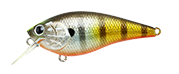 Lucky Craft Fat CB DBS Magic 2.2 - Premium Squarebill Crankbait from Lucky Craft - Shop now at Carolina Fishing Tackle LLC