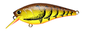 Lucky Craft Fat CB DBS Magic 2.2 - Premium Squarebill Crankbait from Lucky Craft - Shop now at Carolina Fishing Tackle LLC