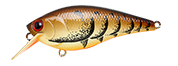 Lucky Craft Fat CB DBS Magic 2.2 - Premium Squarebill Crankbait from Lucky Craft - Shop now at Carolina Fishing Tackle LLC