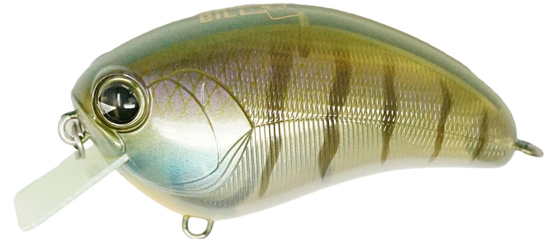 Ima Lures Square Bill Crankbait - Premium Crankbaits from Ima Lures - Shop now at Carolina Fishing Tackle LLC