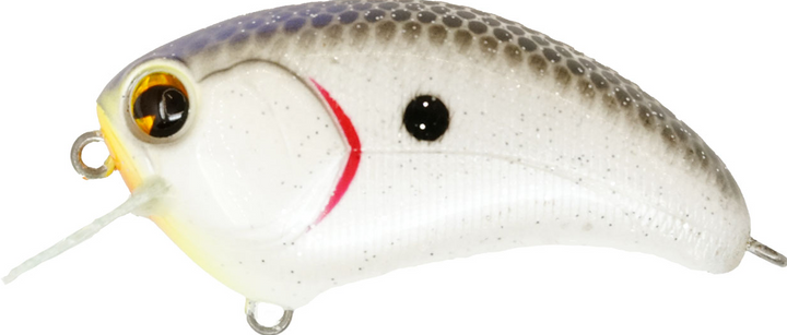 Ima Lures Square Bill Crankbait - Premium Crankbaits from Ima Lures - Shop now at Carolina Fishing Tackle LLC