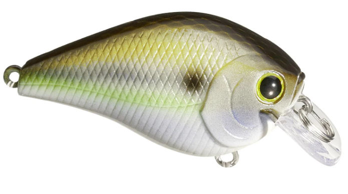 Lucky Craft Fat CB BDS 1 - Premium Squarebill Crankbait from Lucky Craft - Shop now at Carolina Fishing Tackle LLC