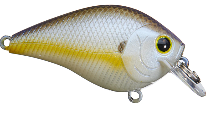 Lucky Craft Fat CB BDS 1 - Premium Squarebill Crankbait from Lucky Craft - Shop now at Carolina Fishing Tackle LLC