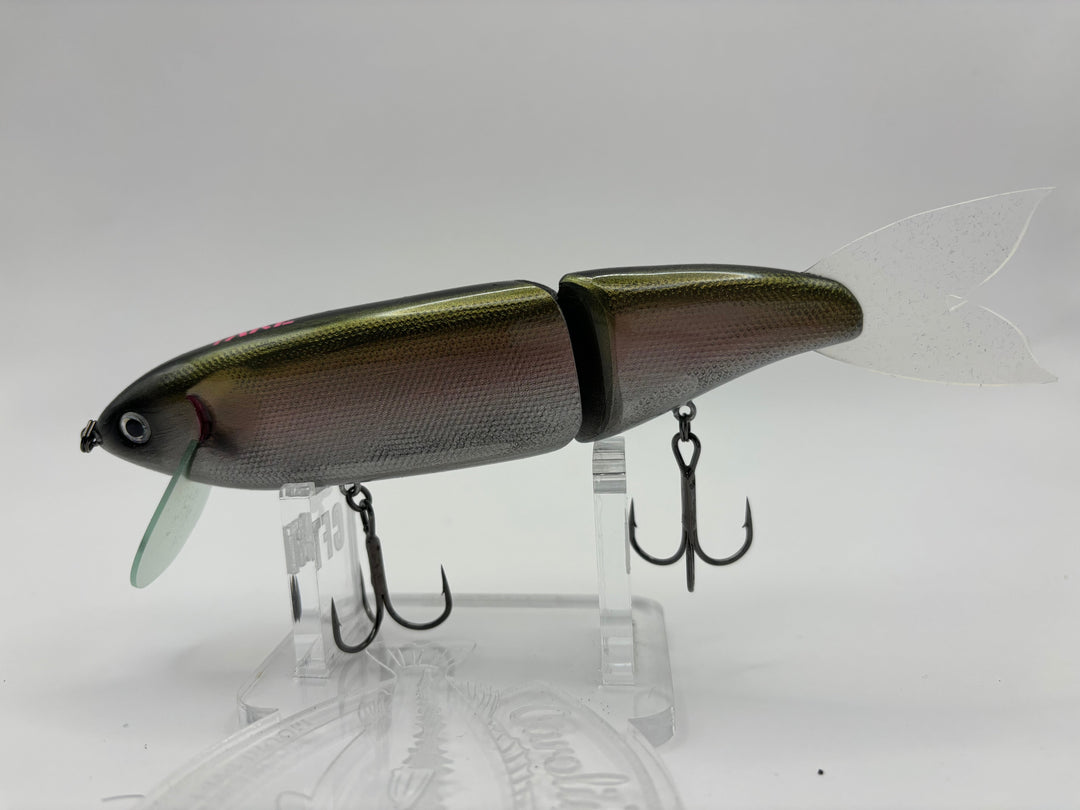Take Dive - Young Rainbow-Rainbow-Violet-Sakura Gold-Gold - Carolina Fishing Tackle LLC