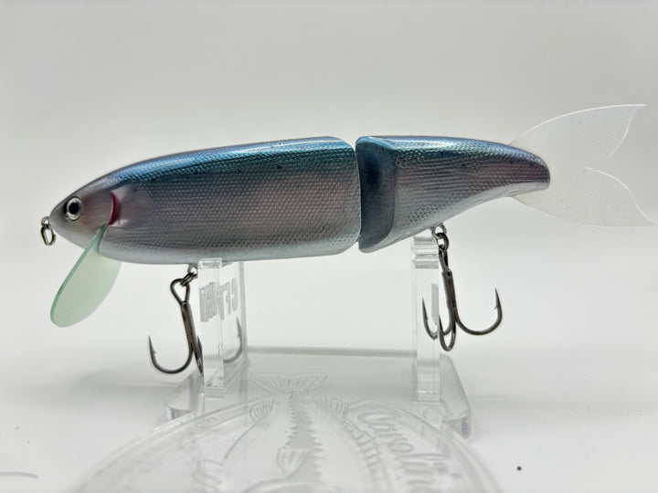 Take Dive - Young Rainbow-Rainbow-Violet-Sakura Gold-Gold - Carolina Fishing Tackle LLC