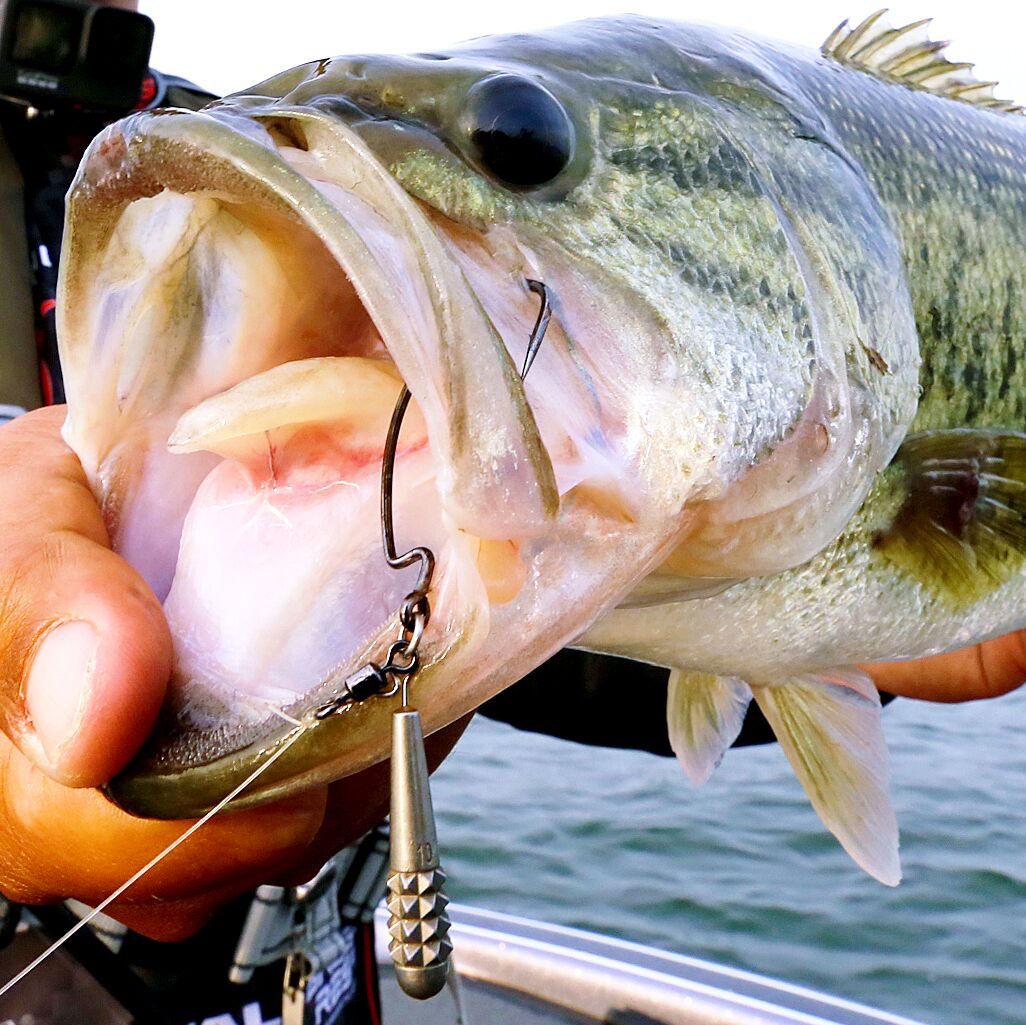 Varivas TG Slim Sinker Quick Changer - 5g (3/16 oz)-7g (1/4 oz)-10g (3/8 oz) - Carolina Fishing Tackle LLC