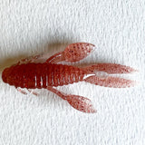 NOIKE 2" Yabby Soft Creature Bait 8pk-Soft Creature Bait-NOIKE-Carolina Fishing Tackle LLC
