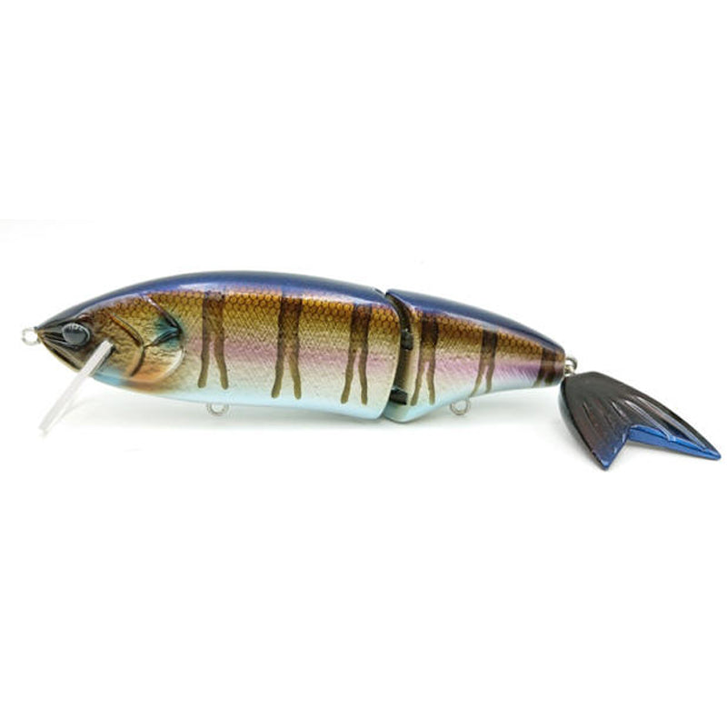 ATTIC Lures Annie 175 MR Swimbait - #01 Natural Gill-#03 Wakasagi-#05 Rainbow Trout-#06 Pink Clown - Carolina Fishing Tackle LLC