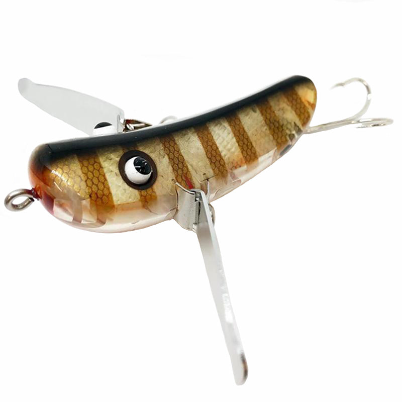 Akashi Brand San Day Moon Crawler Bait - #011 Golden Perch Border - Carolina Fishing Tackle LLC