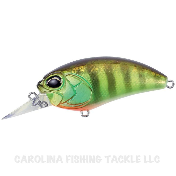 DUO Realis Crank M62 5A - Black Gold-Chart Gill Halo-Chartreuse Blues-Ghost Minnow-Hazzard  Chart-Mat Tiger - Carolina Fishing Tackle LLC