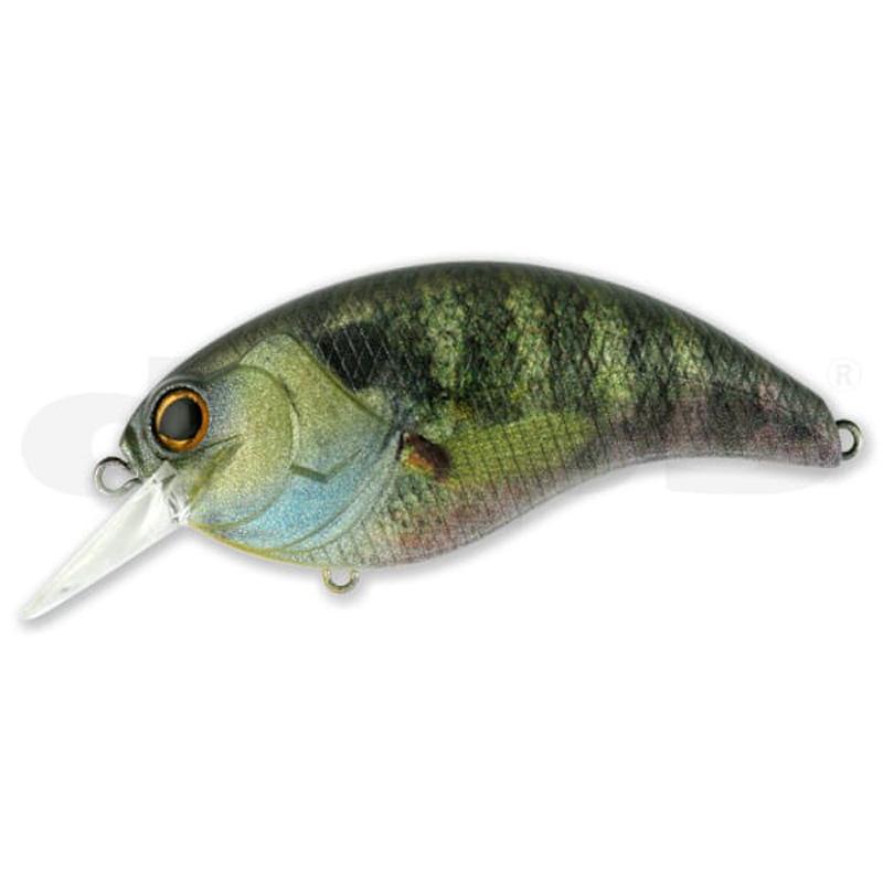 Deps EVOKE 4.0 Magnum Crank - #02 Blue Back Chart-#04 Scum Perch-#06 Golden Shiner - Carolina Fishing Tackle LLC