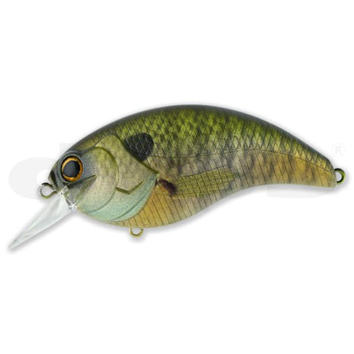 Deps EVOKE 4.0 Magnum Crank - #02 Blue Back Chart-#04 Scum Perch-#06 Golden Shiner - Carolina Fishing Tackle LLC