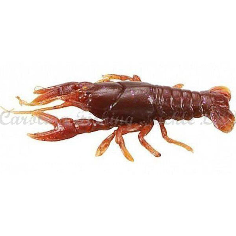 Huddleston Unrigged Huddle Bug 3pk Soft Creature Baits - Mud Bug Hand Painted-Brown Purple Hand Painted-Watermelon Black Red Flake Solid Injected-Smoke on the Water Hand Painted-Purple Haze Hand Painted-Green Pumpkin Hand Painted - Carolina Fishing Tackle LLC