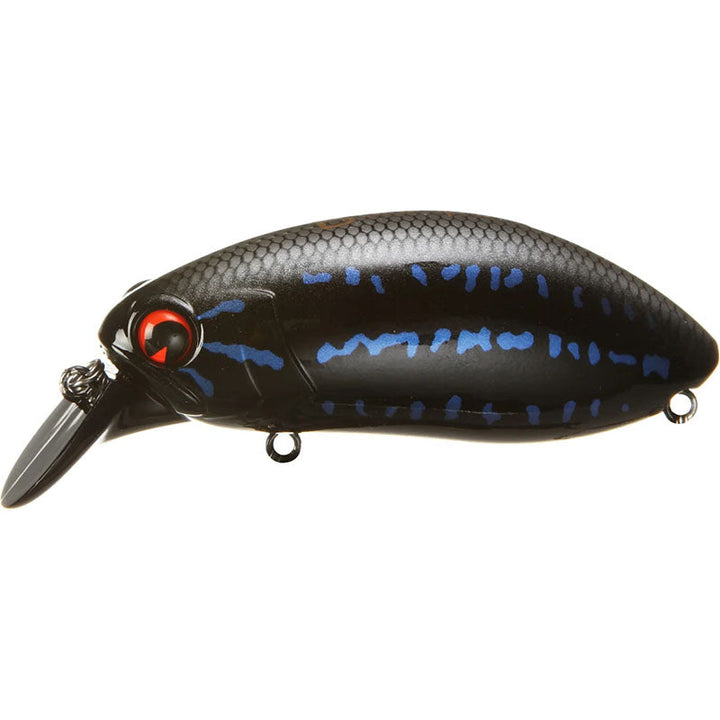 Ima Lures Roumba Rattlin (Select) - #174 Black Bass-#175 Fred’s Perch-#135 Bone - Carolina Fishing Tackle LLC