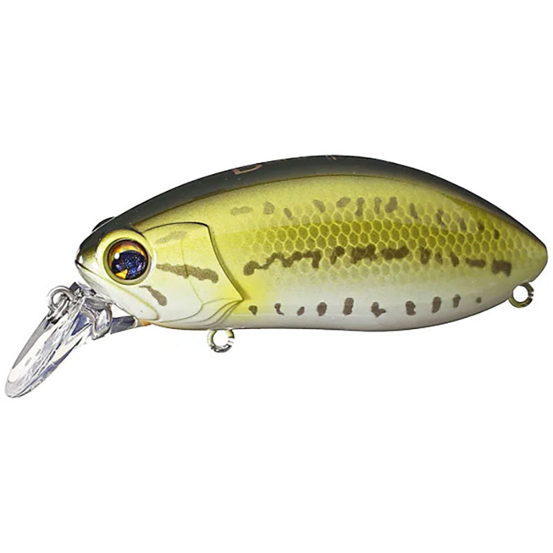 Ima Lures Roumba Select Silent - #103 Bluegill-119 Baby Bass-#120 Stink Bug - Carolina Fishing Tackle LLC