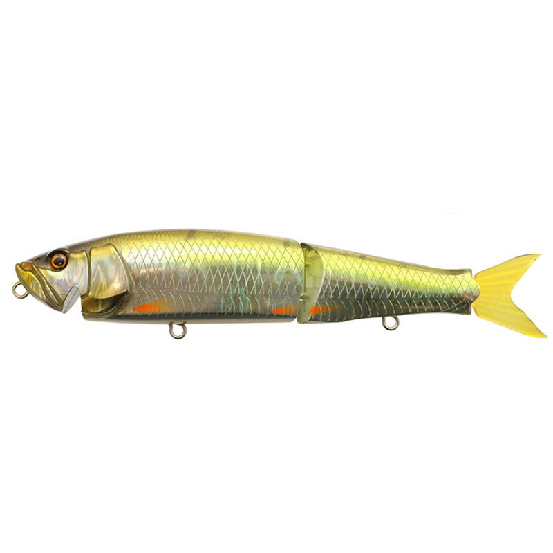 Issei G.C Huss Flat 180 "Water Noisy” Swimbait - #01 Murakami Shad-#12 lotus-#58 Evening Secret-#62 Natural Chart Back - Carolina Fishing Tackle LLC