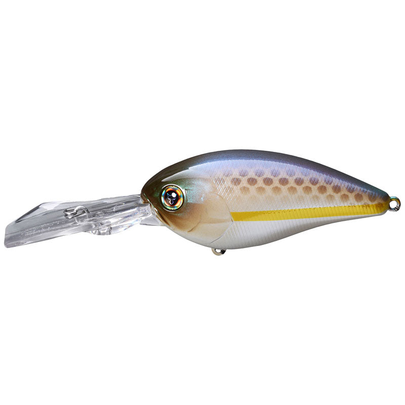 Jackall Digle 2+ Crankbaits - SK Dark Thunder-SS Shad-Chartreuse Shad-Tennesse Shad-Ghost AR Shad-Blueback Chartreuse-SK Shad-SG Threadfin Shad - Carolina Fishing Tackle LLC