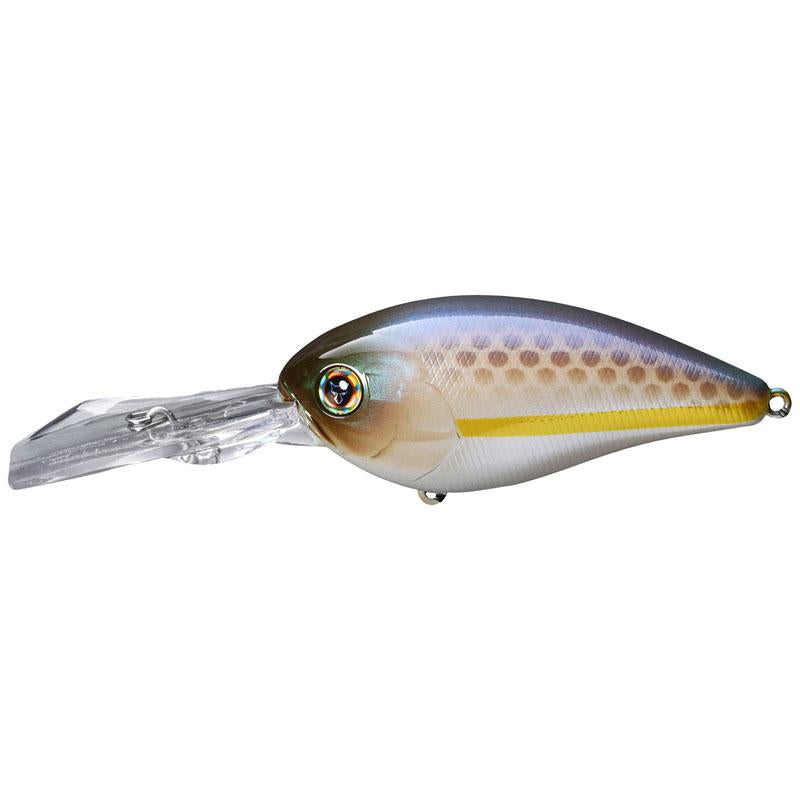 Jackall Lures Digle 5+ Crankbaits - Blueback Chartreuse-SS Shad-SG Threadfin Shad-Chartreuse Shad-SK Dark Thunker Dark Thunder-Tennessee Shad - Carolina Fishing Tackle LLC