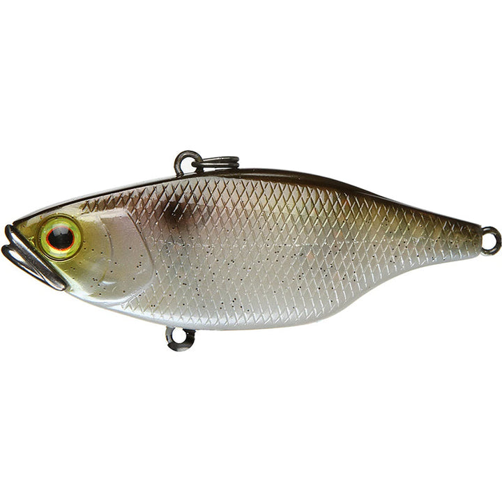 Jackall TN/60 Lipless Crankbaits - RT Scale Minnow-SS Shad-Ghost Minnow - Carolina Fishing Tackle LLC