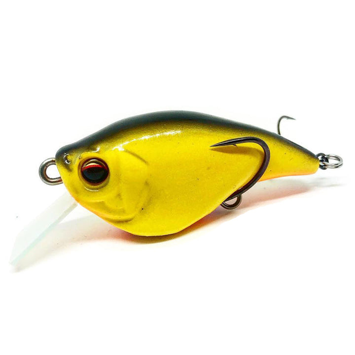 Kahara KJ Soft Body Squarebill Crankbait - #05 Black/Gold - Carolina Fishing Tackle LLC