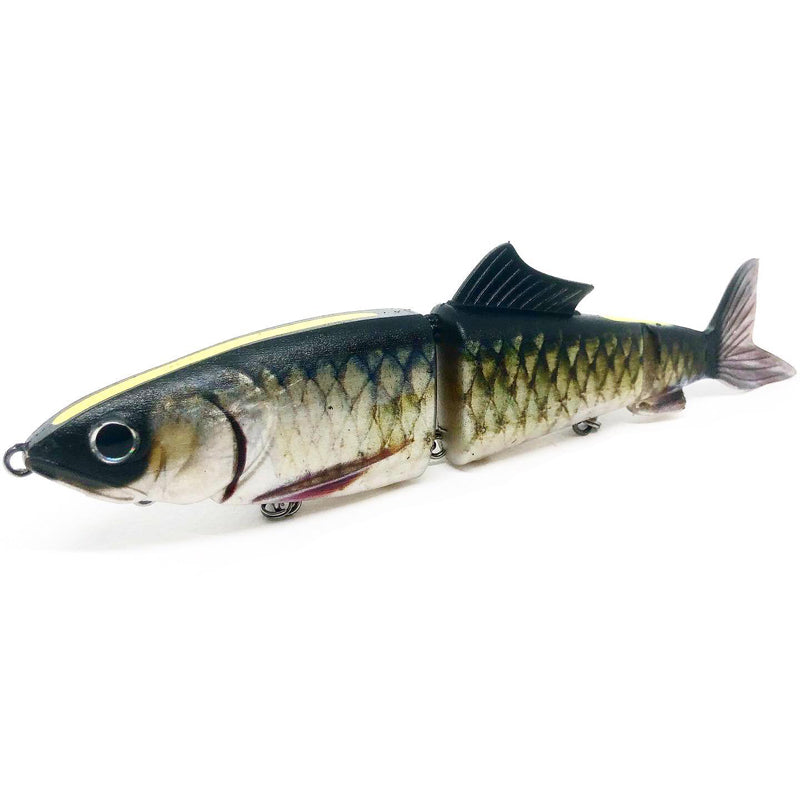 Kasumi Design AYU ACLONE 180 Slow Sinking Swimbait - #KDW02 Tiger Trout-#KDW06 Clear Chartreuse-#KDW10 Blueback Chartreuse-#KDW11 Rainbow Shiner-#KDW12 Carp-#KDW13 Ochi Ayu-#KDW16 Amago (Brown Trout)-#KDW20 Ichiki Black-#BU102 Natural Hasu-#BU103 Natural Bait - Carolina Fishing Tackle LLC