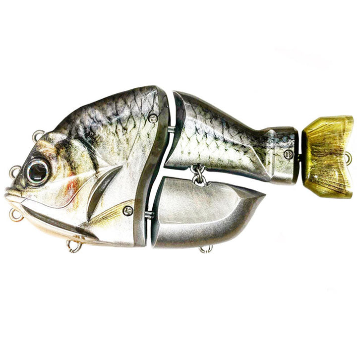 Manifold Detail Works Castellanon Swimbaits - #002 Perch Green Clear-#004 Perch Red Clear-#006 Perch Blue Clear-#008 X-Ray Black-#010 X-Ray Gold-#011 XSL X-Ray Silver-#024 Real Rainbow Trout Silver Powder-#027 Herring Silver Powder-#032 Silver Black-Green/Silver Flake - Carolina Fishing Tackle LLC