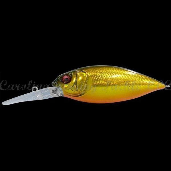 Megabass DX-Free Crankbaits - Champagne Funa / 2.0-GG Megabass Kinkuro / 2.0-GG Megabass Kinkuro / 3.0-Mat Tiger / 2.0-Mat Tiger / 3.0-Skeleton Chartreuse / 3.0 - Carolina Fishing Tackle LLC