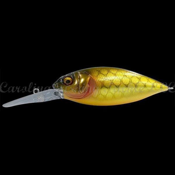 Megabass DX-Free Crankbaits - Champagne Funa / 2.0-GG Megabass Kinkuro / 2.0-GG Megabass Kinkuro / 3.0-Mat Tiger / 2.0-Mat Tiger / 3.0-Skeleton Chartreuse / 3.0 - Carolina Fishing Tackle LLC