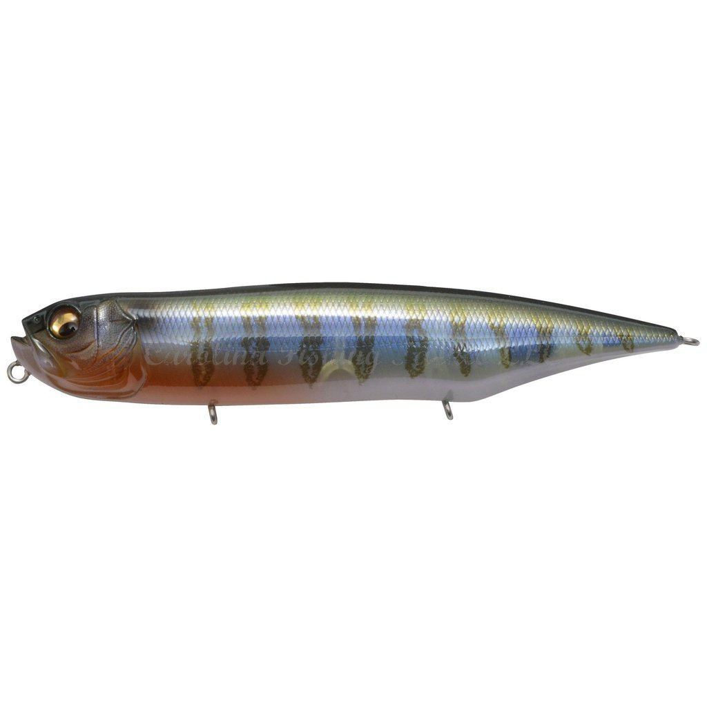 Megabass Dog-X Diamante - Biwako Clear Gill / Rattling-GG Perch / Rattling-HT Kossori Shad / Silent-Pagani Raigyo / Silent-Secret Gill / Rattling-Secret Gill / Silent - Carolina Fishing Tackle LLC
